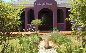 Lilac Lodge